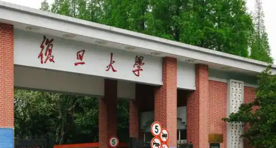 上海985，又成立母基金了